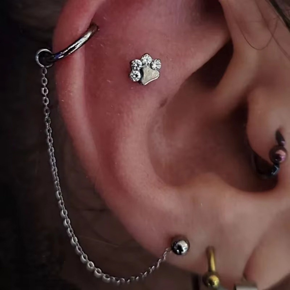 Tytanowy łańcuszek do nosa, tr – Body Jewelry Nose recenzja i cena