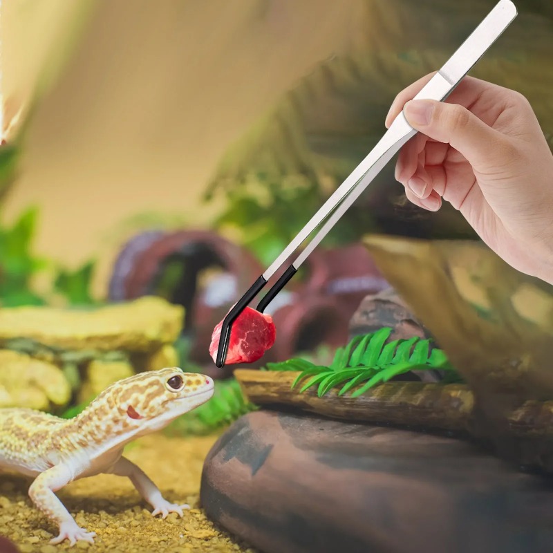 Zestaw 2 szt. pęset ze stali n – Body Jewelry Tool recenzja i cena